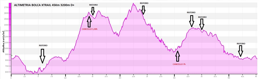 Altimetria della gara da 45km: bello eh?