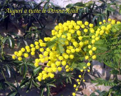 Dal giardino del Runner's Post