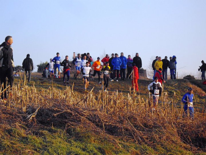 I colori del Brianzolo (foto AIRAGHI)