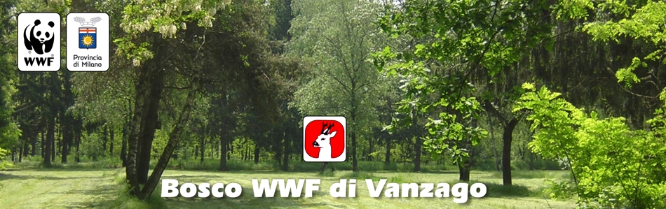 Il Bosco di Vanzago