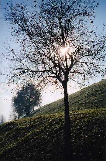 Il sole spunta dietro il Monte Stella